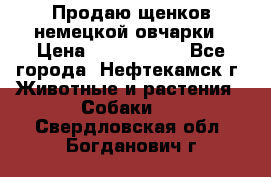 Продаю щенков немецкой овчарки › Цена ­ 5000-6000 - Все города, Нефтекамск г. Животные и растения » Собаки   . Свердловская обл.,Богданович г.